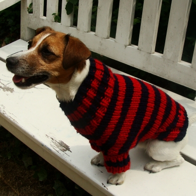 Hundepullover Blockstreifen Rot/Dunkelblau, handgestrickt