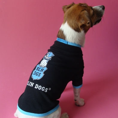 Logo T-Shirt, Wappenhund